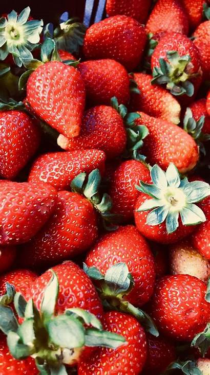 Fruits Fresh Strawberries Fruit Vegetable Galaxy Wallpapersmug