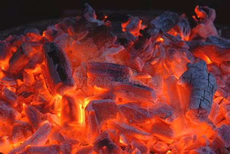 Burning Coal Stock Photo Image Of Night Burnt Fire 3952194