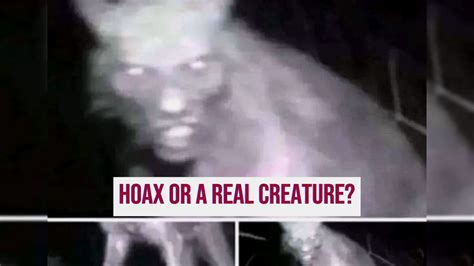 Fact Check Viral Picture Of This Mysterious Creature Shared With False
