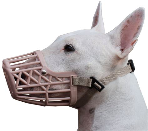 What Are The Best Dog Muzzles Tatust