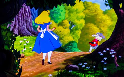 Alices New Wonderland