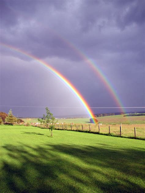 Rainbow Med777 Flickr