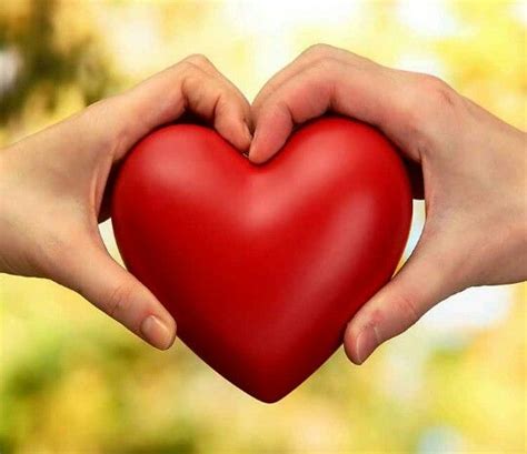 You Hold My Heart In Your Hands Beautiful Love Images Hd Love Best