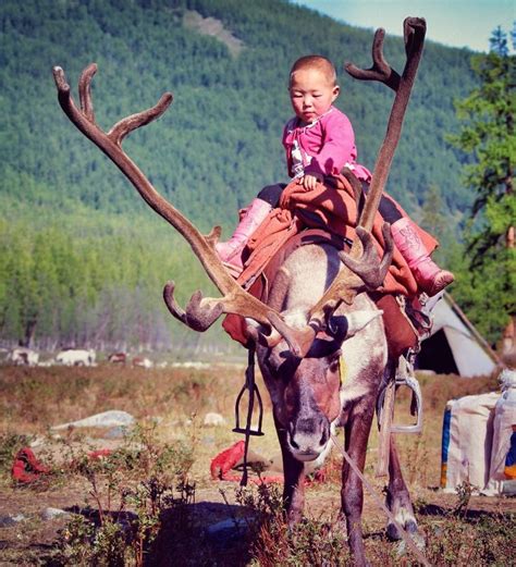 Visiting The Tsaatan Reindeer Herders Of Mongolia From Ice To Spice Reindeer Herders