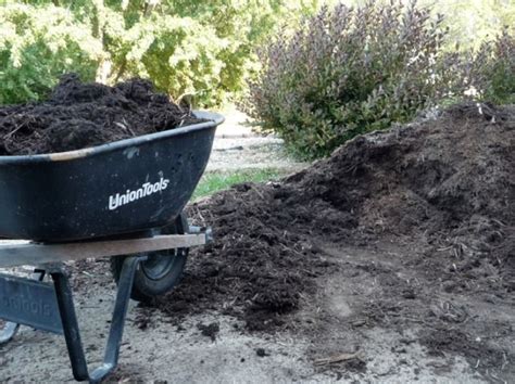 Comment Enrichir Le Sol Du Jardin Engrais Verts Compost Paillages