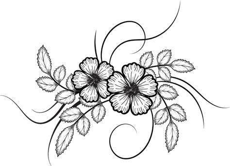 Flower Drawing Flower Sketch Png Download 737534 Free
