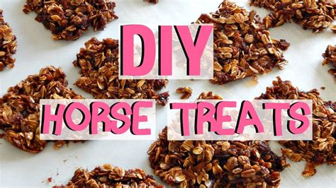 Diy Horse Treats Simple And Easy Youtube