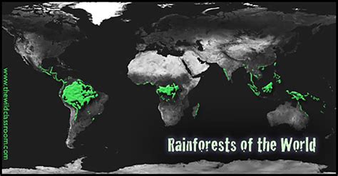 Location Of Tropical Rainforests Rainforest Locations Map Where Are