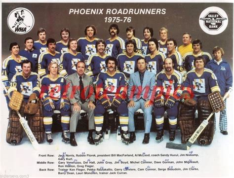 1975 76 Wha Phoenix Roadrunners Reprint Hockey Team Photo Hockey Team