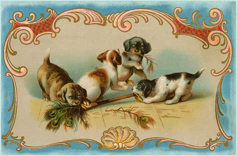 Dogs Puppies Vintage Postcard Free Stock Photo Public Domain Pictures