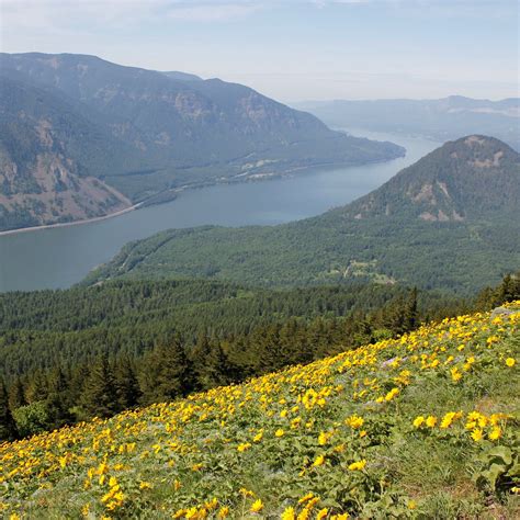 Columbia River Gorge National Scenic Area Home