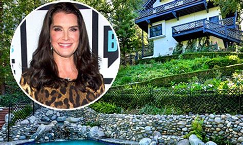 Brooke Shields Rents Out Her Pacific Palisades Home For 35k A Month