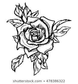 You are about to reach the latter part of the visual video tutorial on how to draw a rose easy. Rose With Thorns Drawing - samplesofpaystubs.com