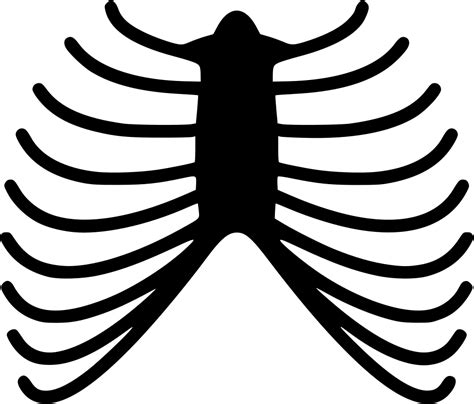Rib Cage Png Transparent Background Rib Cage Free Transparent