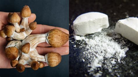 Mdma And Magic Mushrooms Soon Be Legal To Treat Ptsd And Depression