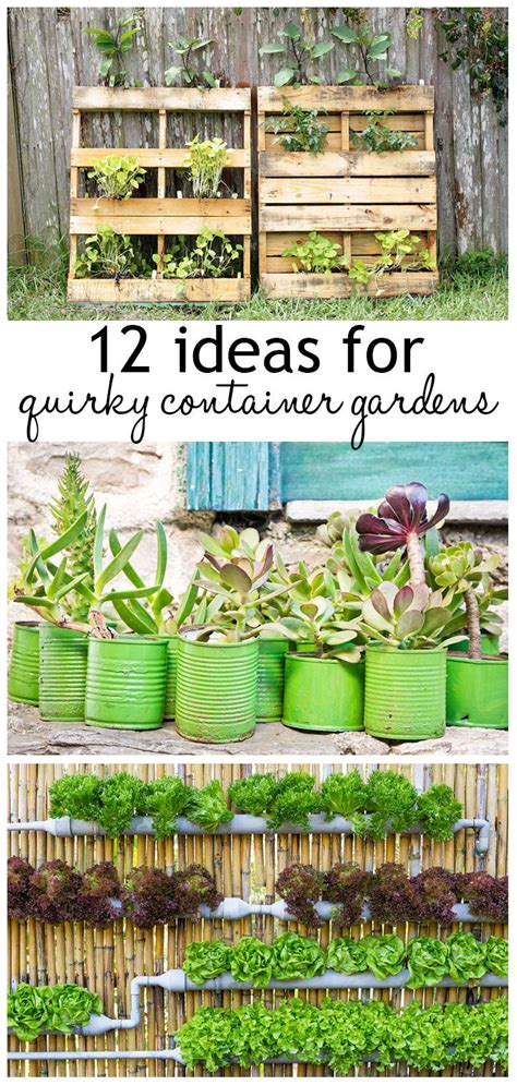 12 Ideas For Quirky Plant Containers To Jazz Up Your