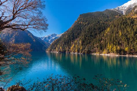 Beautiful Lake In Jiuzhaigou National Park Stock Photo Image Of