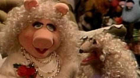 All The Female Muppets The Complete List