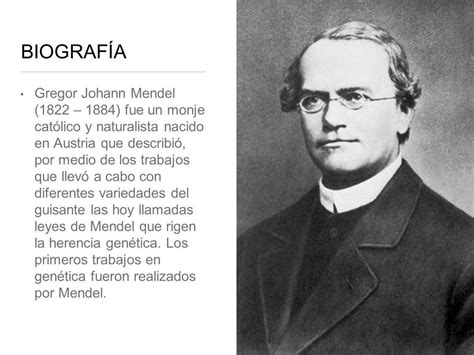 Biografia De Gregor Mendel Resumo Edubrainaz