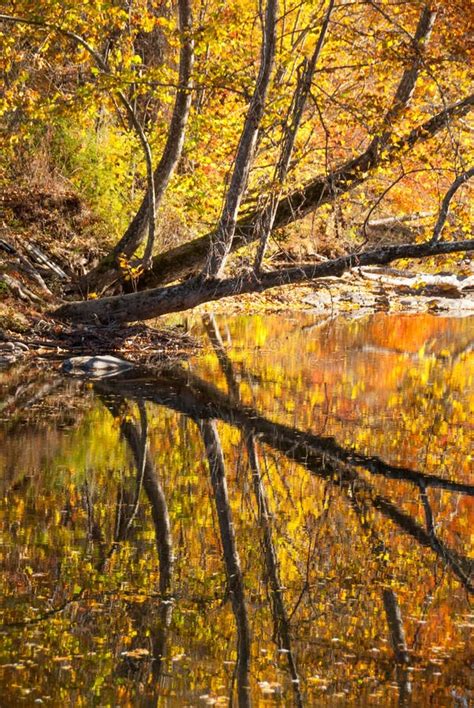 Smoky Mountain Stream In Fall Stock Photo Image Of Golden Park 46979664