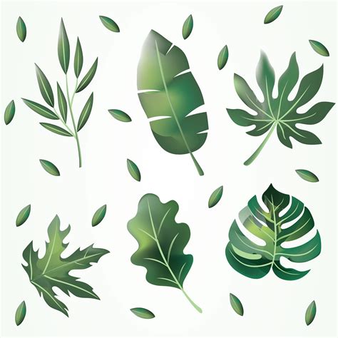 Green Leaves Clipart Vector Pack 358885 Vector Art At Vecteezy
