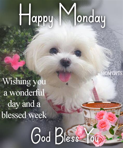 Happy Monday Wishing You A Wonderful Day And Blessed Week Pictures