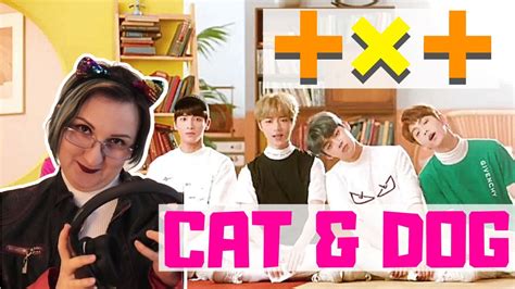 Txt Cat And Dog Reaction Ok Theyre Doing Something Different With