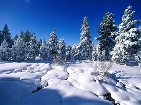 Cold Weather Wallpapers Top Free Cold Weather Backgrounds