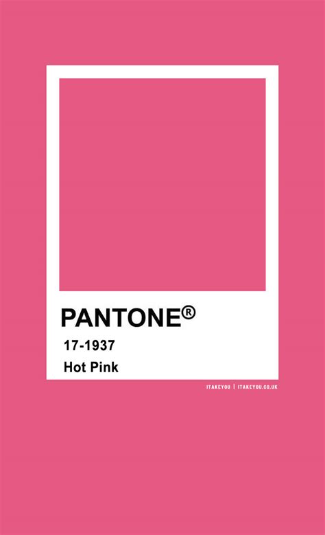 Pantone Color Pantone Hot Pink I Take You Wedding Readings
