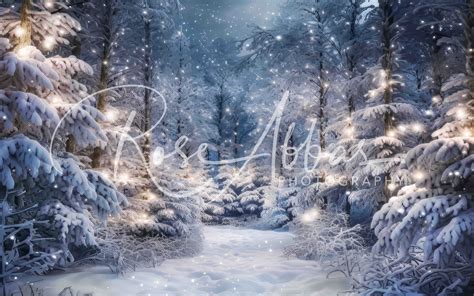 Magical Winter Wonderland Backdrops Canada