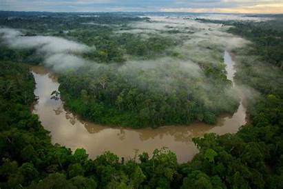 Ecuador Huaorani Forest Rain Anthropology Environmental Yasuni
