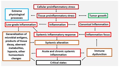 Ijms Free Full Text Acute And Chronic Systemic Inflammation