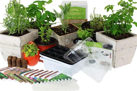 14 Easy Indoor Herb Garden Kits Plus Expert Tips For Growing Success