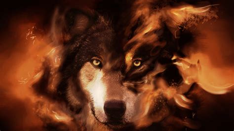 Wolf Full Hd Wallpaper And Background Image 1920x1080 Id393936