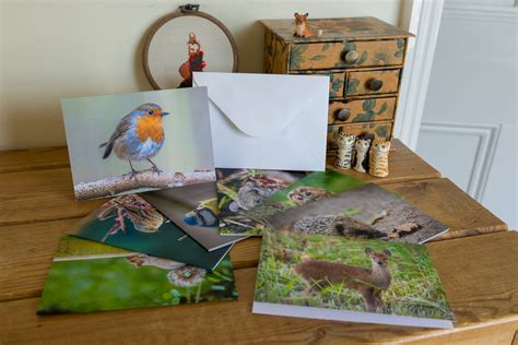 Wildlife Card For Greetings And Ts In A Range Of Etsy Uk