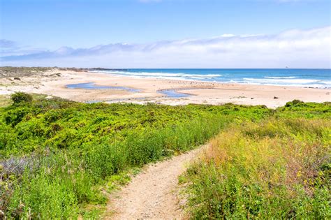 5 Best Beaches Near San Jose Which Beach Near San Jose Is Right For