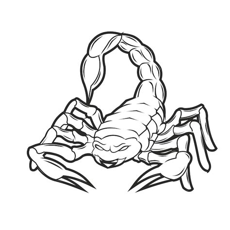 Premium Vector Scorpion Hand Drawing Vintage Style