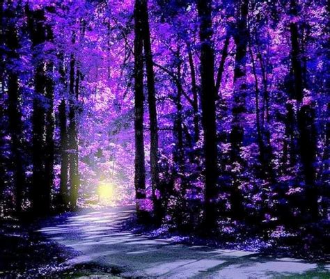 Pin By Sheri Powell On Purple Passion Fantasy Landscape Scenery Nature