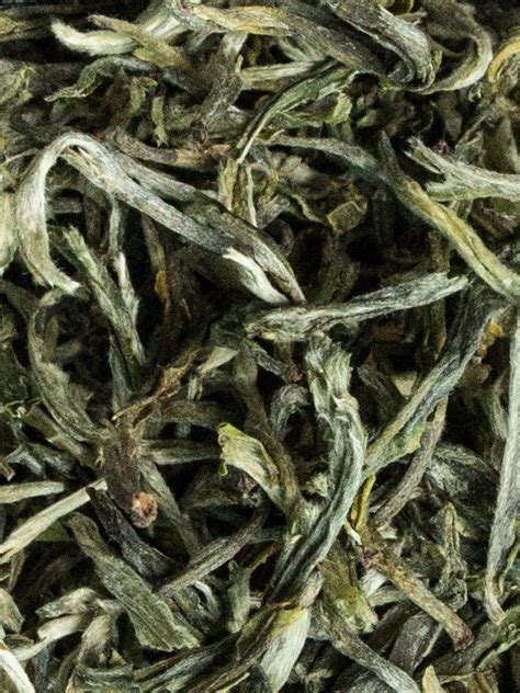 Herbata Biała China Snow Buds Sklep E Aromat