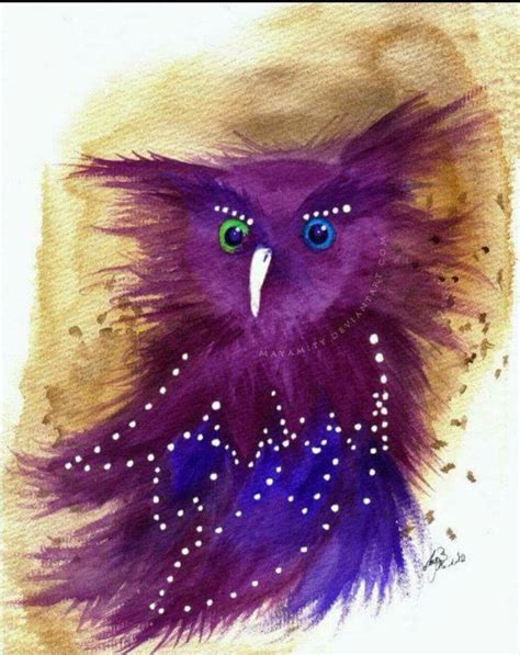 Owl Love Owl Owl Art Owl Books