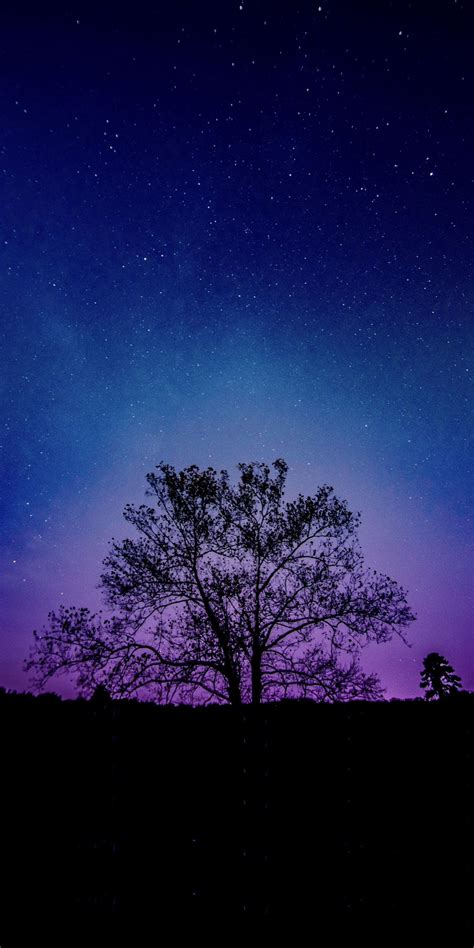 Tree Galaxy Sky Silhouette 1080x2160 Wallpaper Night