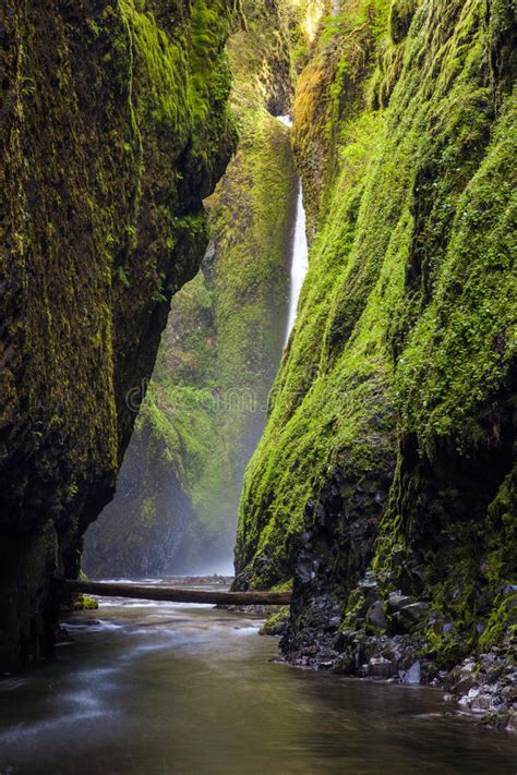 Oneonta Falls In Columbia River Gorge Oregon Stock Photo Image Of