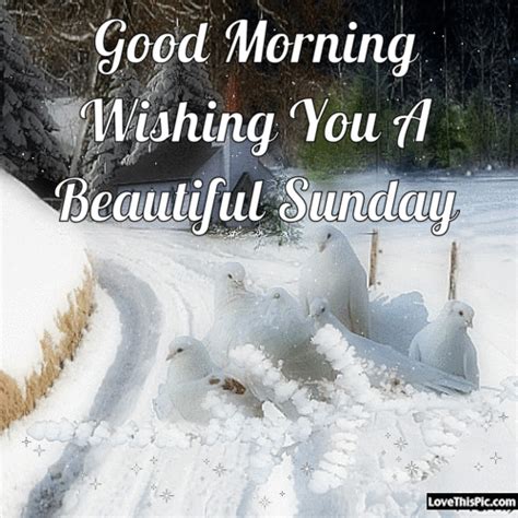 Good Morning Wishing You A Beautiful Sunday Pictures Photos And