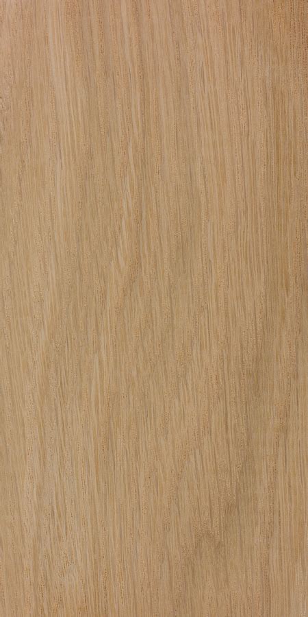 White Oak The Wood Database Lumber Identification Hardwood