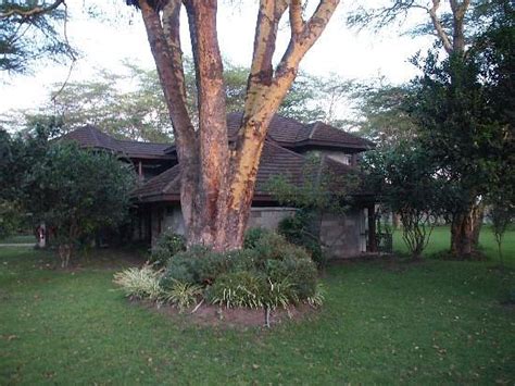 Lake Naivasha Simba Lodge Updated 2022 Reviews And Photos Kenya