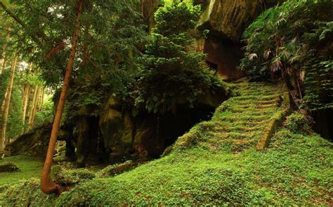 Trees Forest Woods Stair Retro Ancient Plants Green