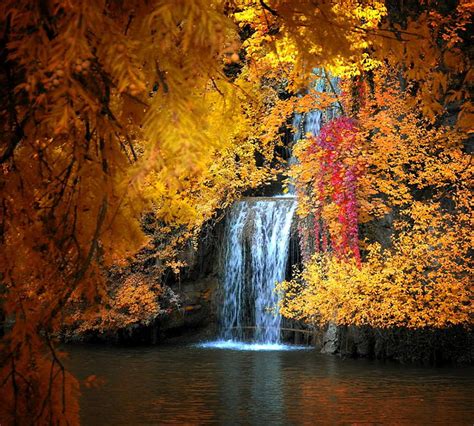 1179x2556px 1080p Free Download Autumn Falls Red Trees Waterfall