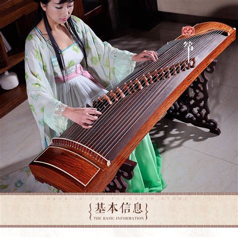 Traditional Chinese String Instruments