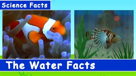 Science Facts For Kids The Water Facts Youtube