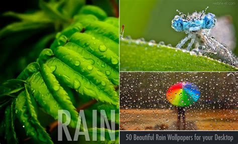50 Beautiful Rain Wallpapers For Your Desktop Webneel